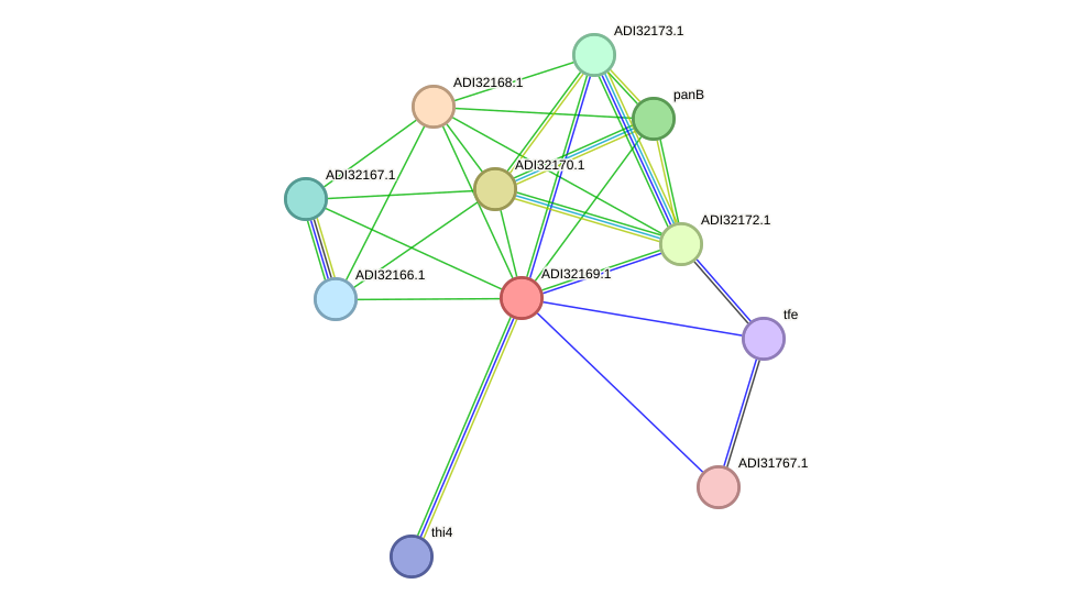 STRING protein interaction network