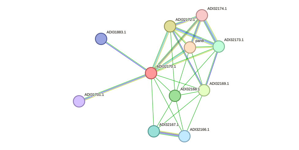 STRING protein interaction network
