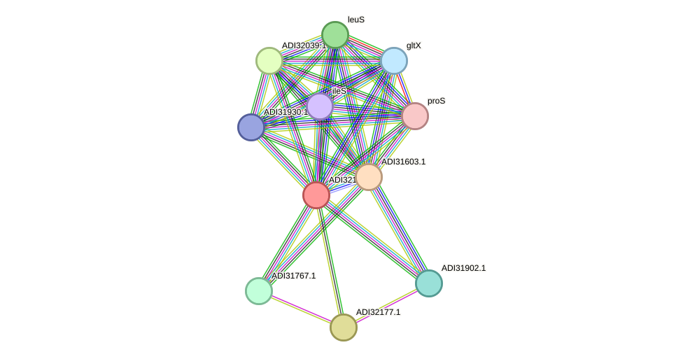 STRING protein interaction network