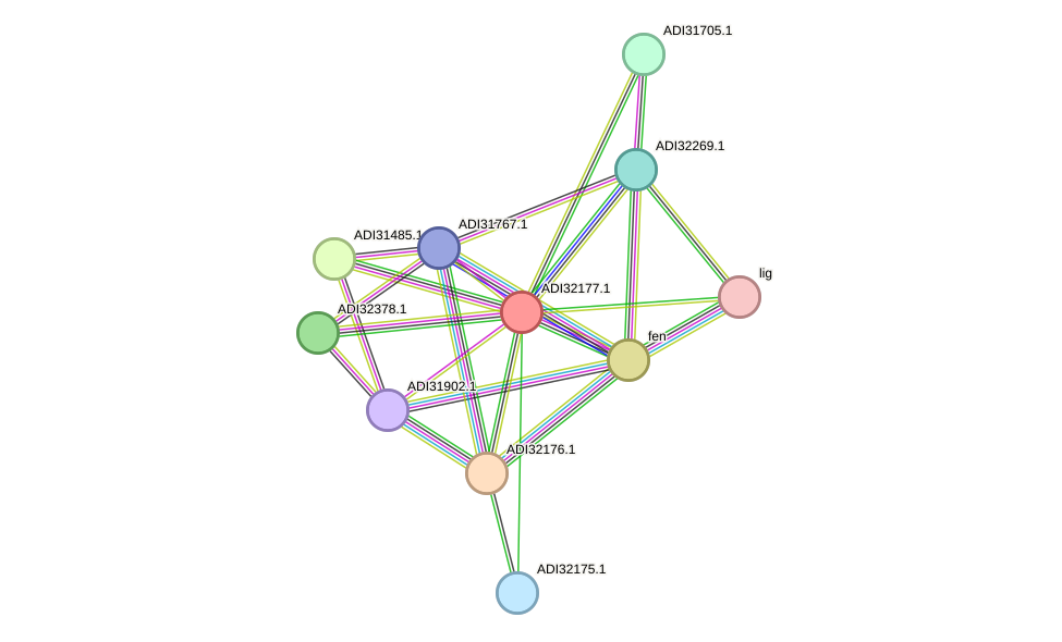 STRING protein interaction network