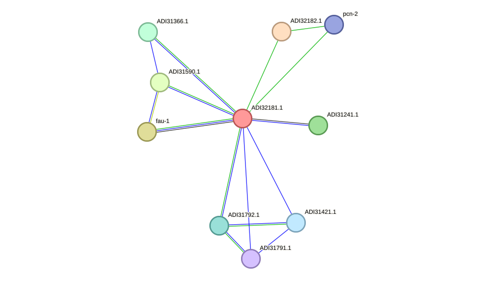STRING protein interaction network