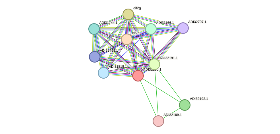 STRING protein interaction network