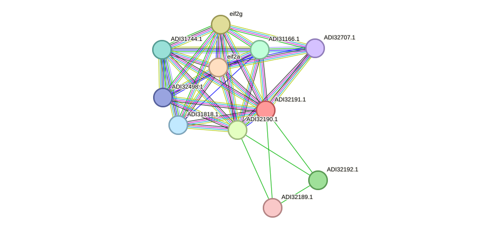 STRING protein interaction network