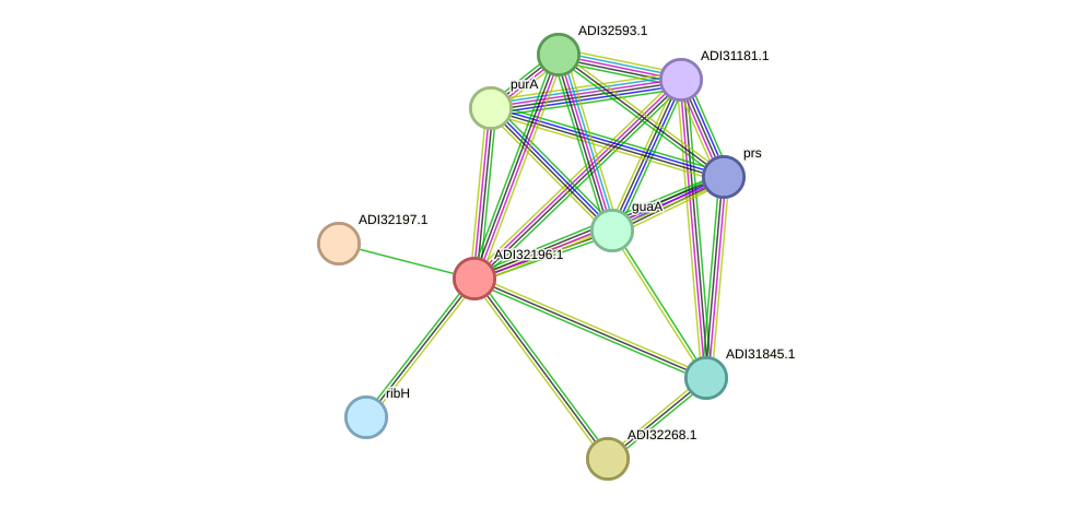 STRING protein interaction network