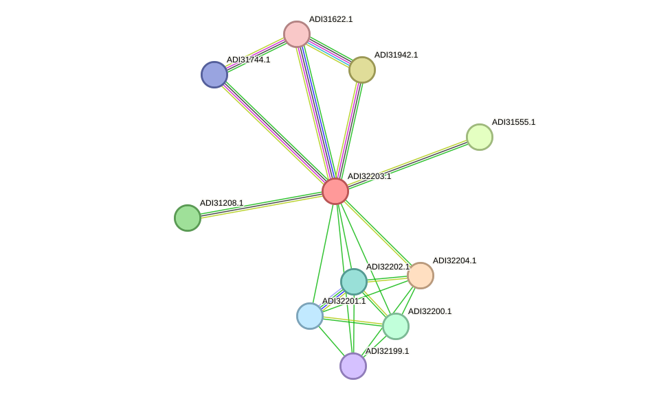 STRING protein interaction network