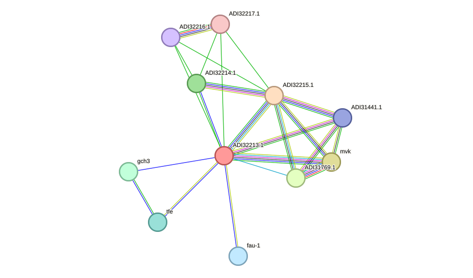 STRING protein interaction network
