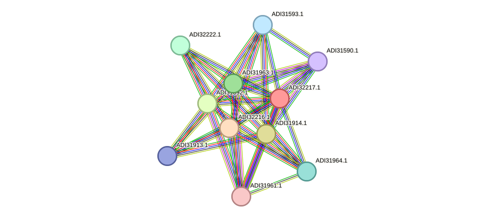 STRING protein interaction network
