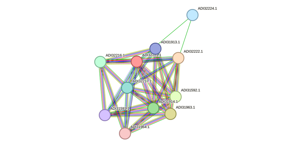 STRING protein interaction network