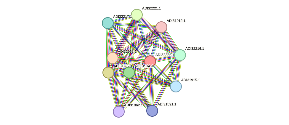 STRING protein interaction network