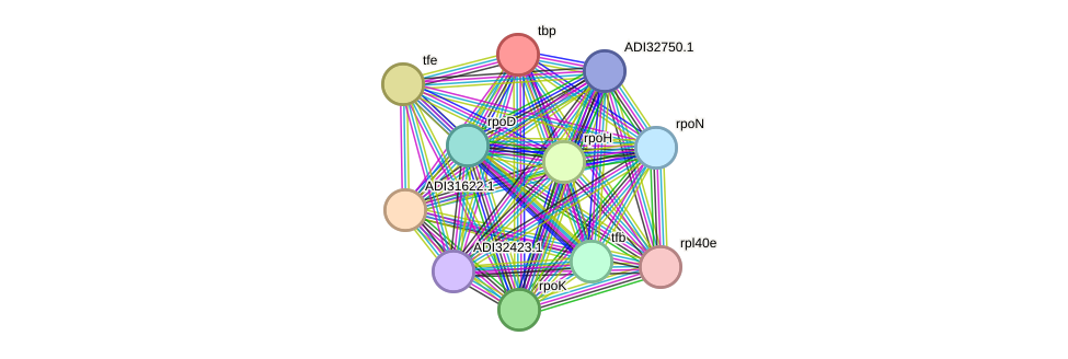 STRING protein interaction network