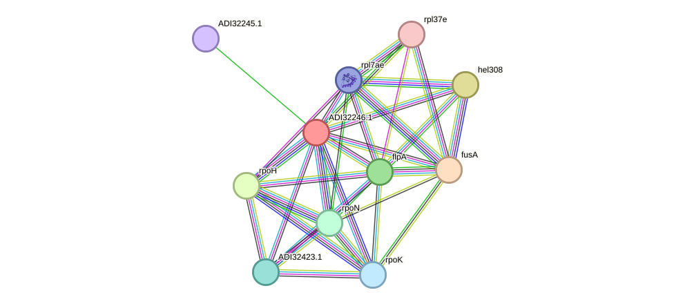 STRING protein interaction network
