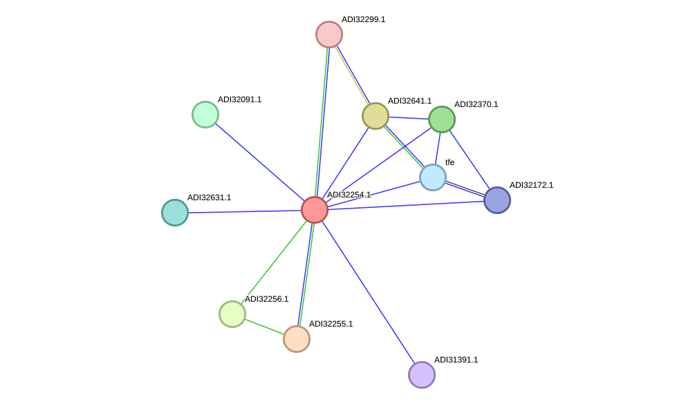 STRING protein interaction network