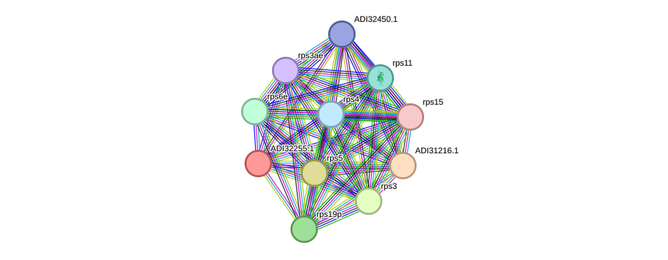 STRING protein interaction network