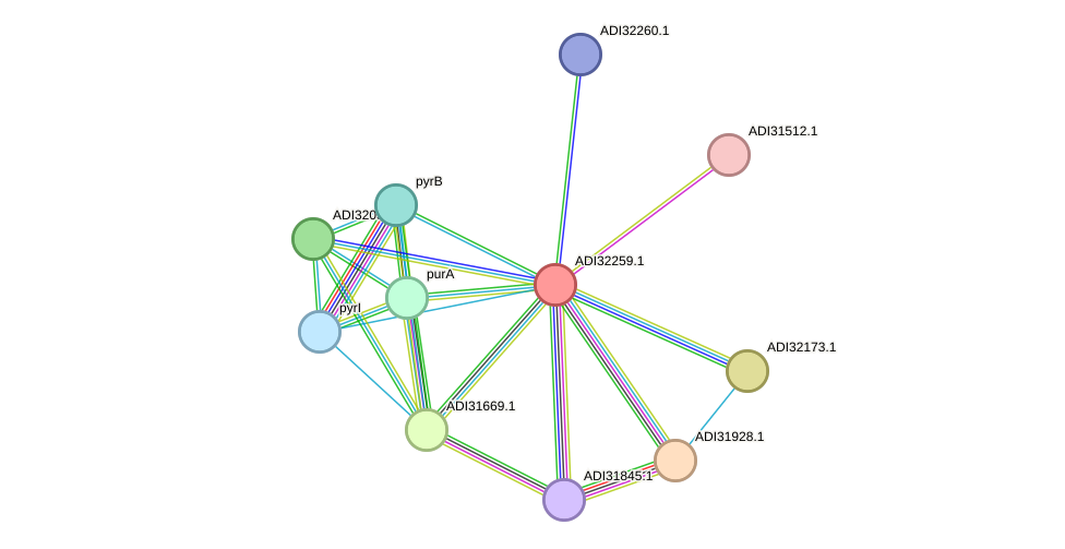 STRING protein interaction network