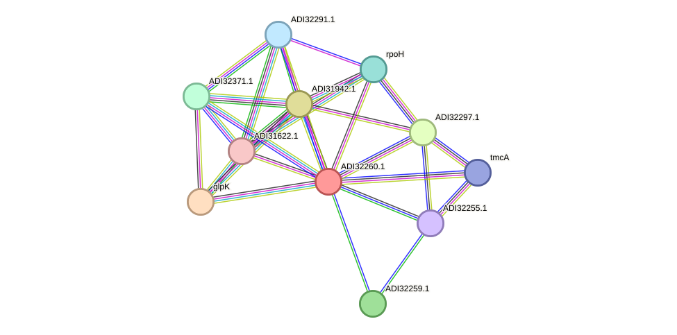 STRING protein interaction network