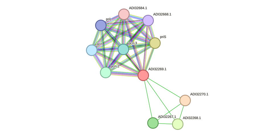 STRING protein interaction network