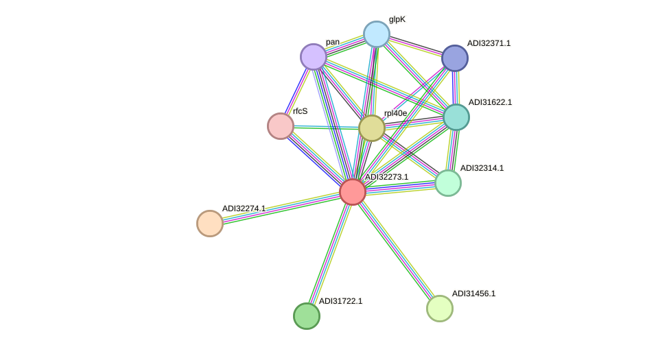 STRING protein interaction network