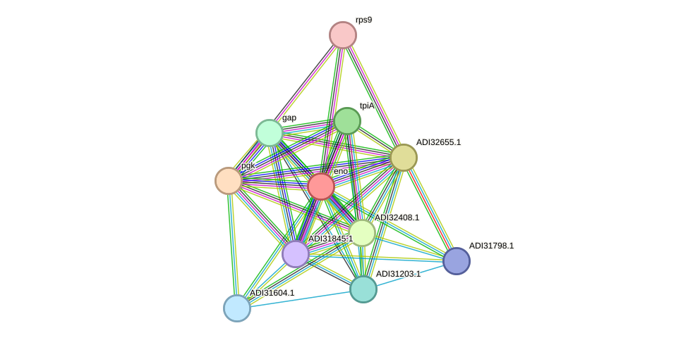 STRING protein interaction network