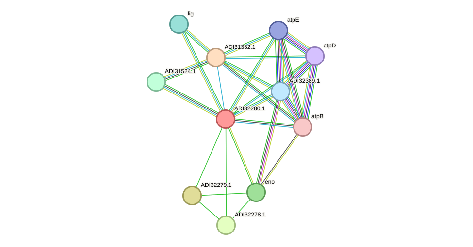 STRING protein interaction network