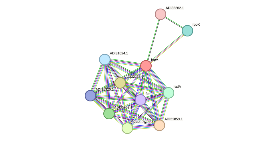 STRING protein interaction network