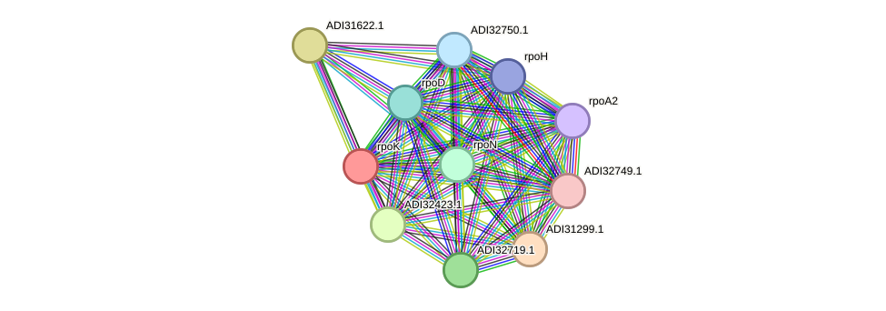 STRING protein interaction network