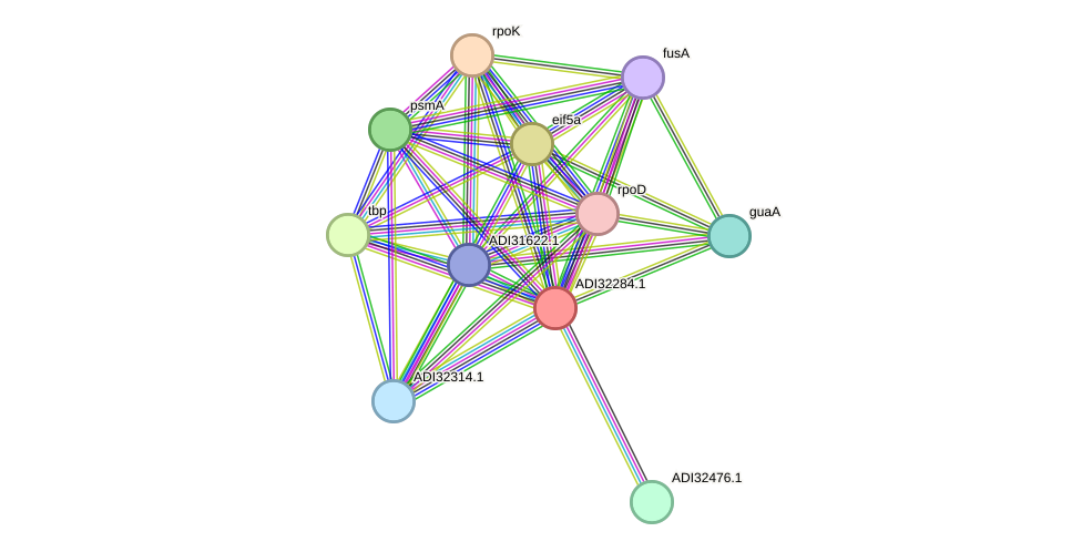 STRING protein interaction network