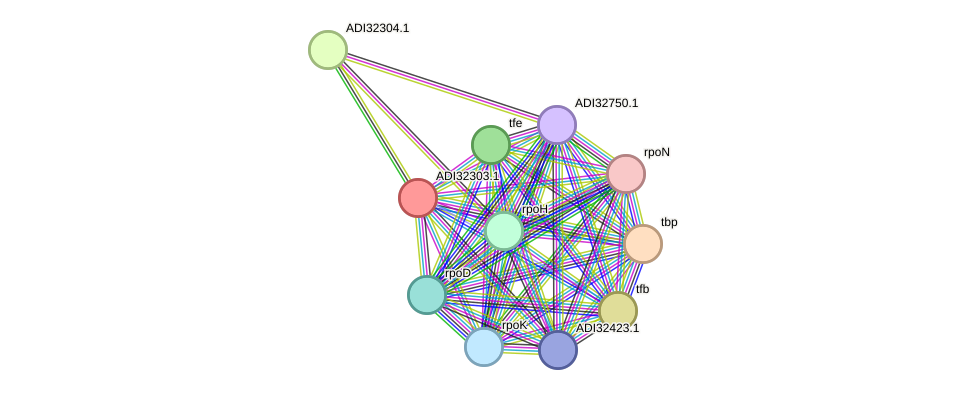 STRING protein interaction network