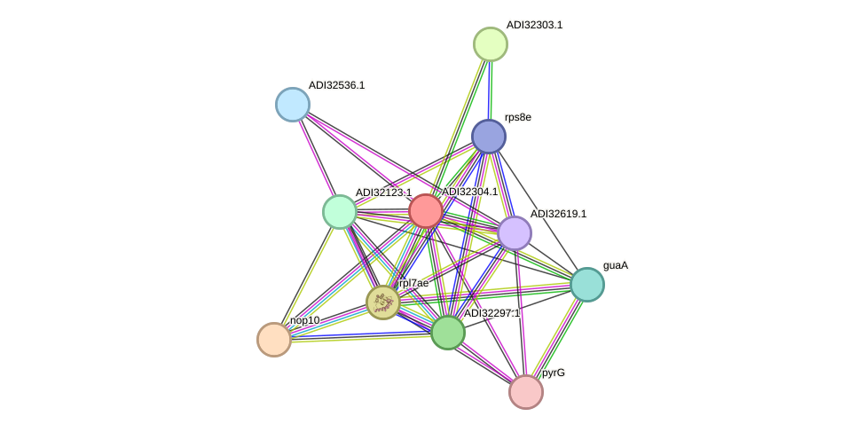 STRING protein interaction network