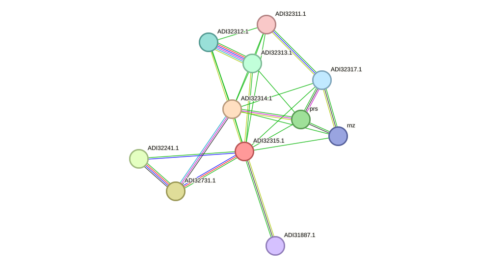 STRING protein interaction network