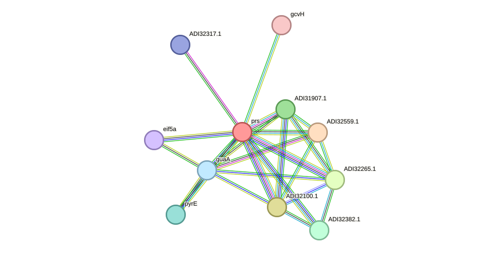 STRING protein interaction network