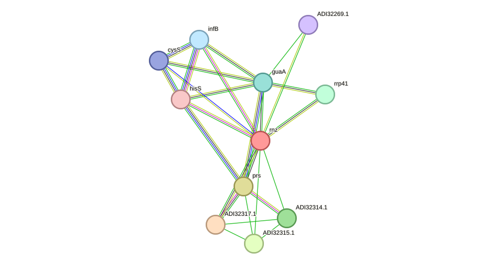 STRING protein interaction network