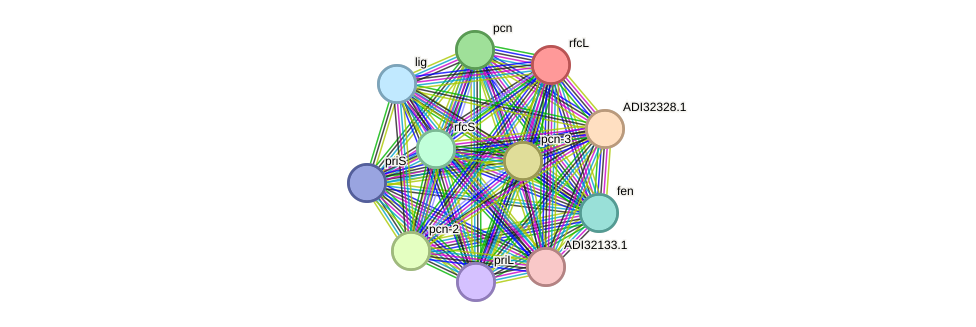 STRING protein interaction network