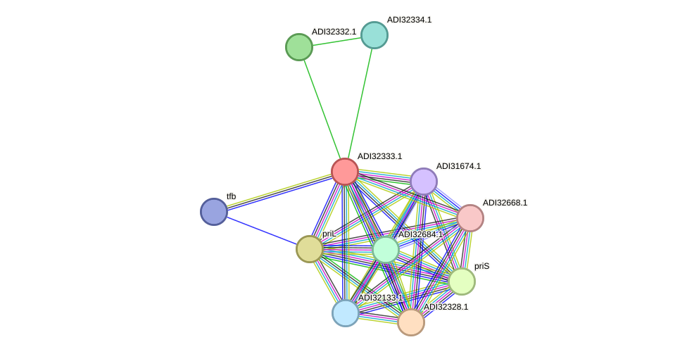 STRING protein interaction network