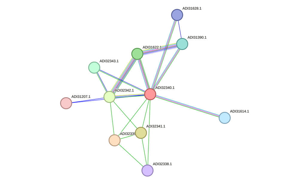 STRING protein interaction network