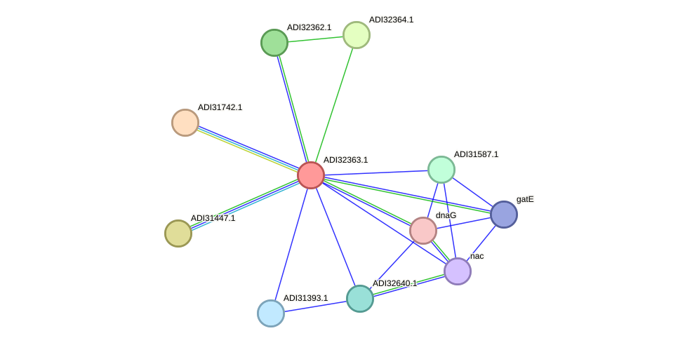 STRING protein interaction network