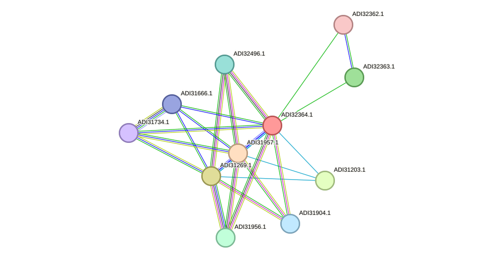 STRING protein interaction network
