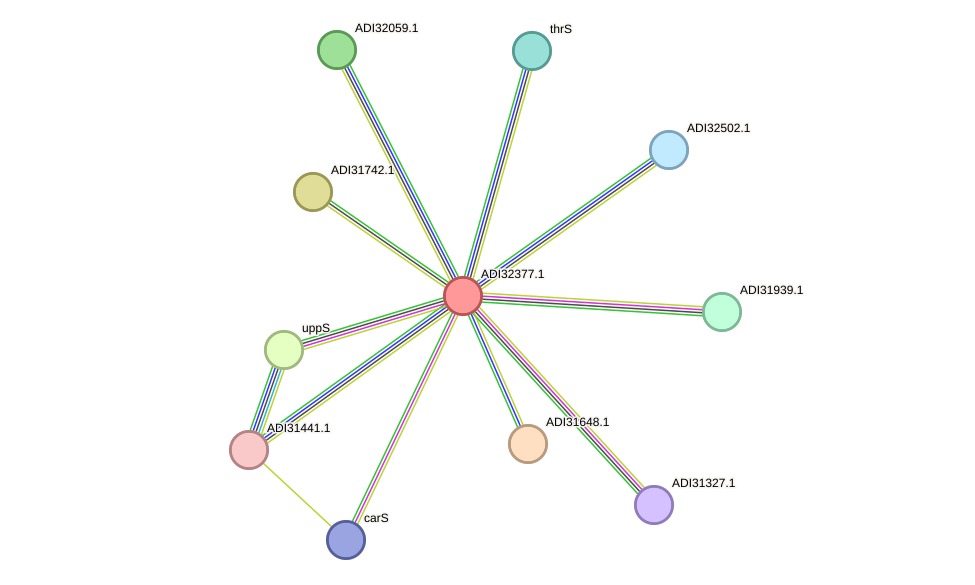 STRING protein interaction network