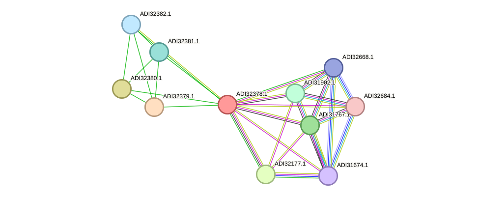 STRING protein interaction network
