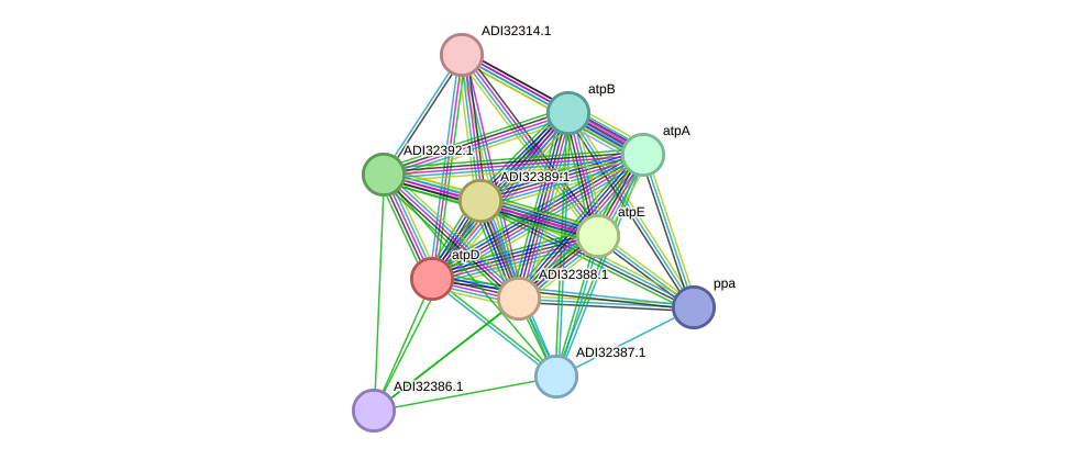STRING protein interaction network