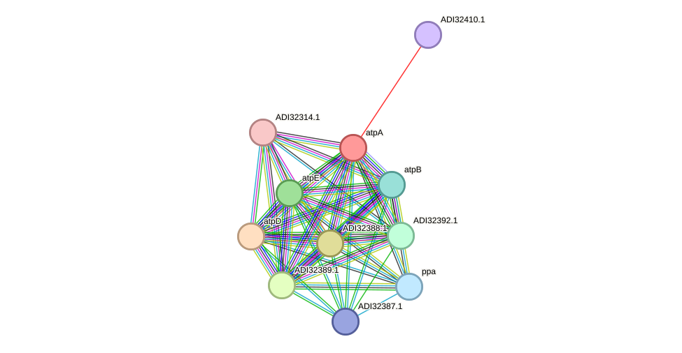 STRING protein interaction network