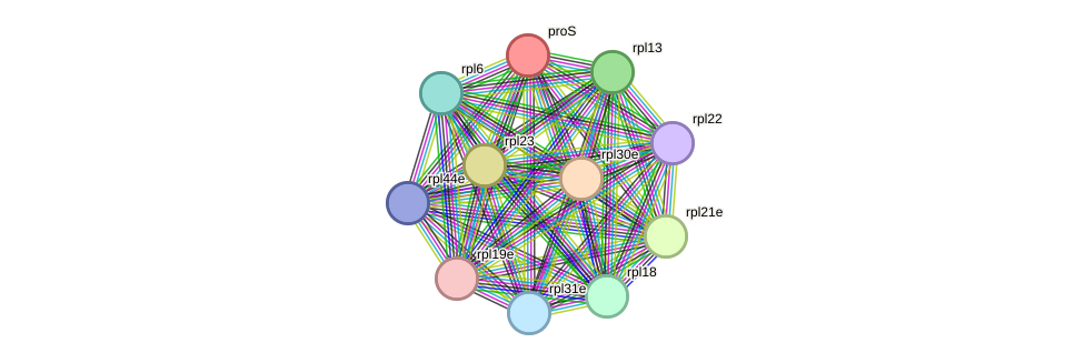STRING protein interaction network
