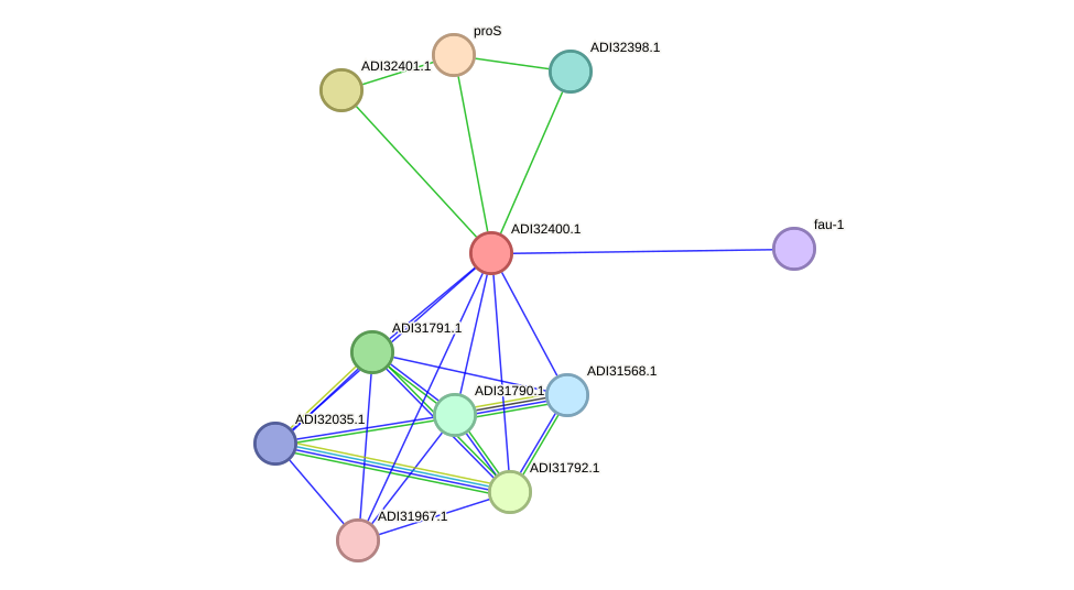 STRING protein interaction network