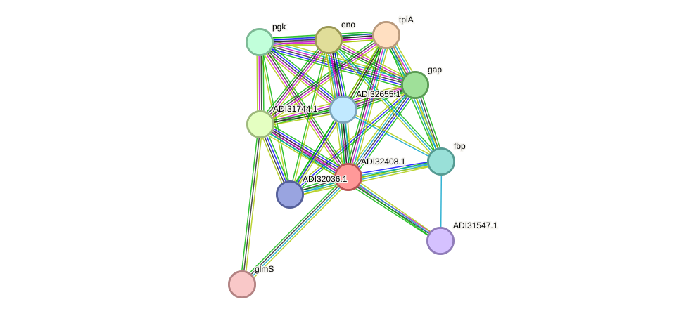 STRING protein interaction network