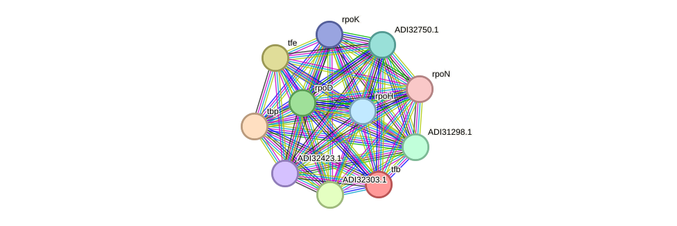 STRING protein interaction network