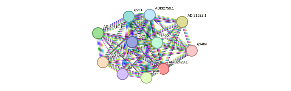 STRING protein interaction network