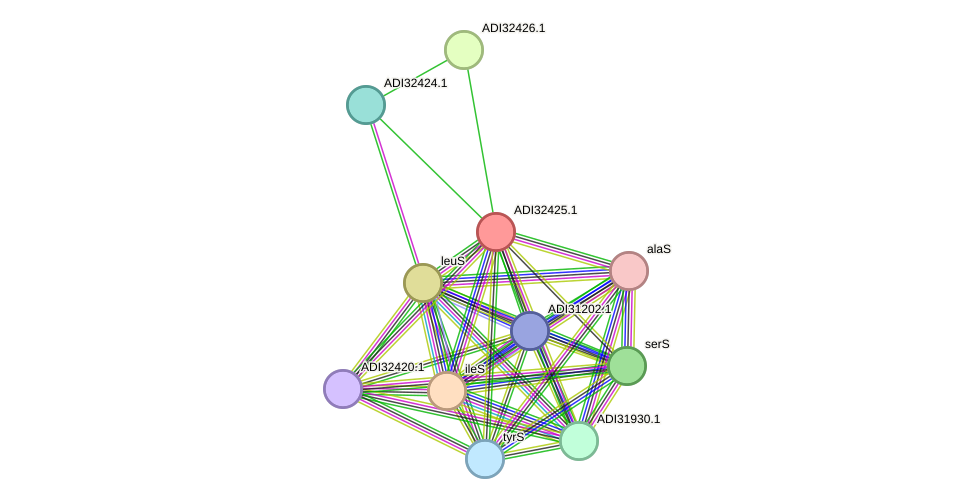 STRING protein interaction network