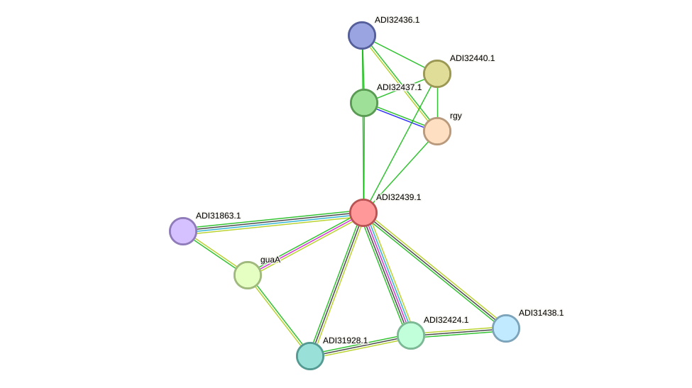 STRING protein interaction network