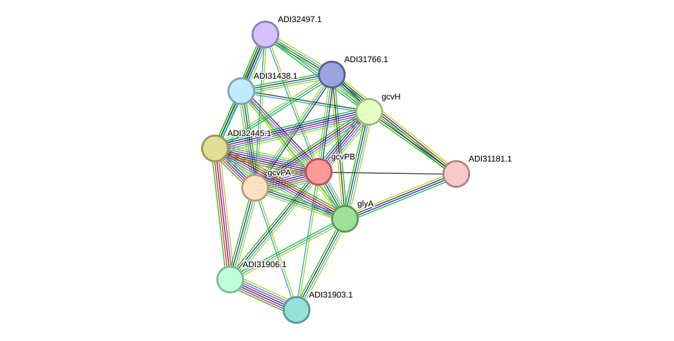 STRING protein interaction network