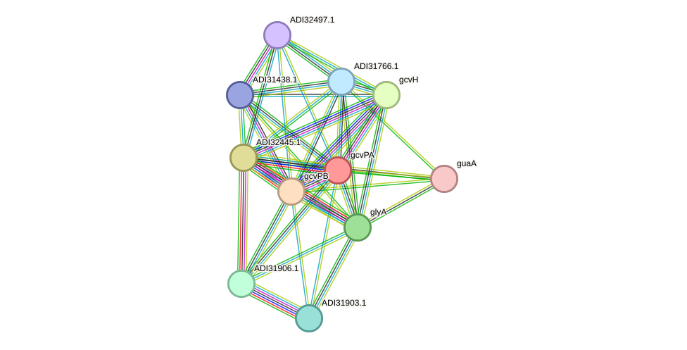 STRING protein interaction network