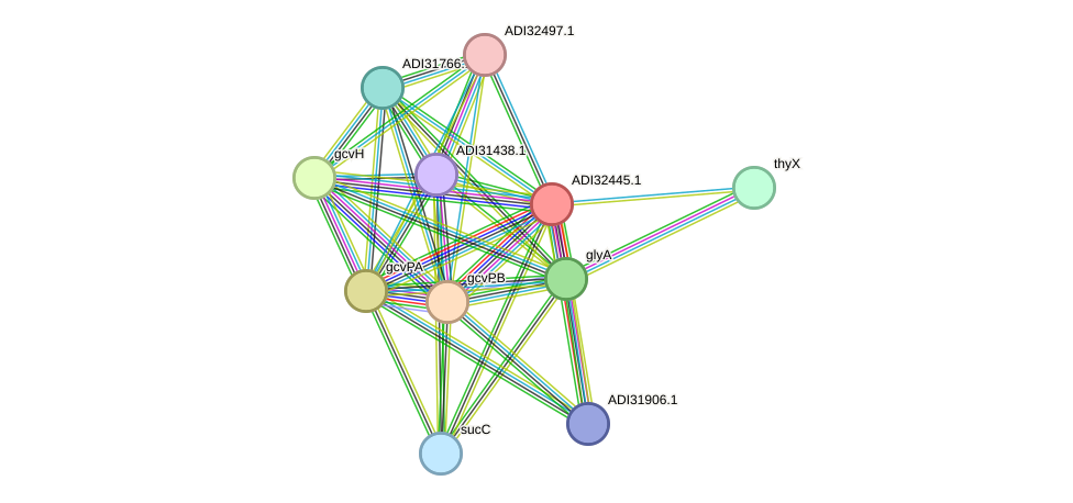 STRING protein interaction network
